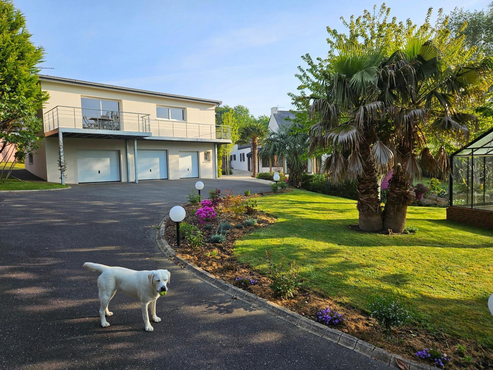 A L'Escale Fleurie Apartment Guipavas Exterior photo
